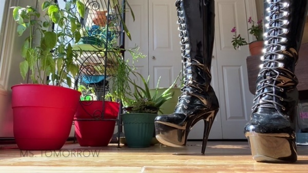 Domme Tomorrow - Her Boots