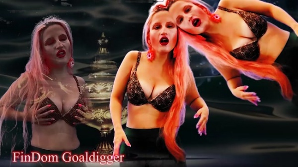 FinDom Goaldigger - Your arousal enlarging