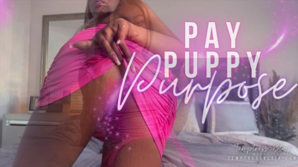 Temptress Blair - Pay Puppy Purpose